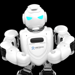 DigitalHungary - Humanoid robotokra épülő digitális érzékenyítés Magyarországon